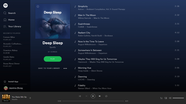 La migliore playlist di brani musicali Spotify