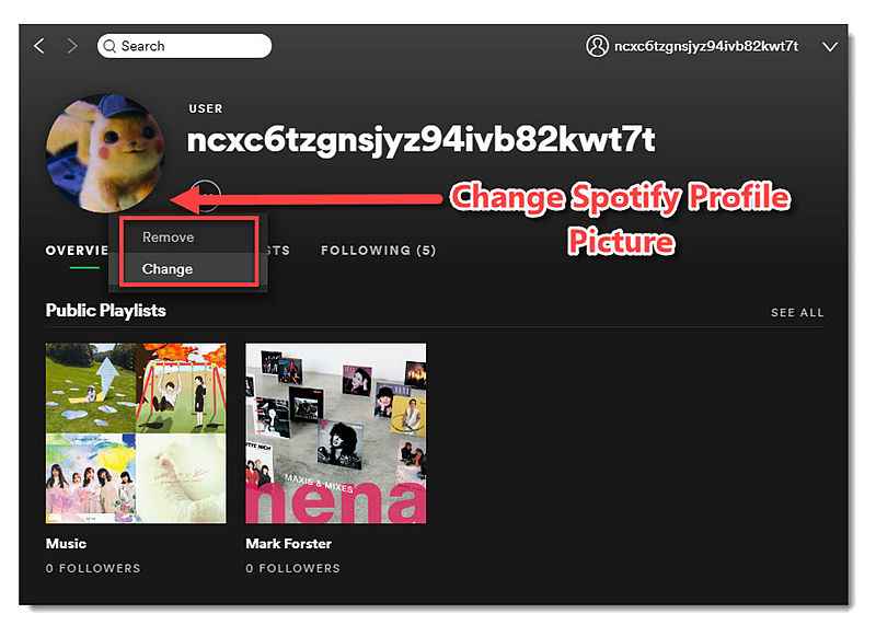 Изменить изображение профиля Spotify