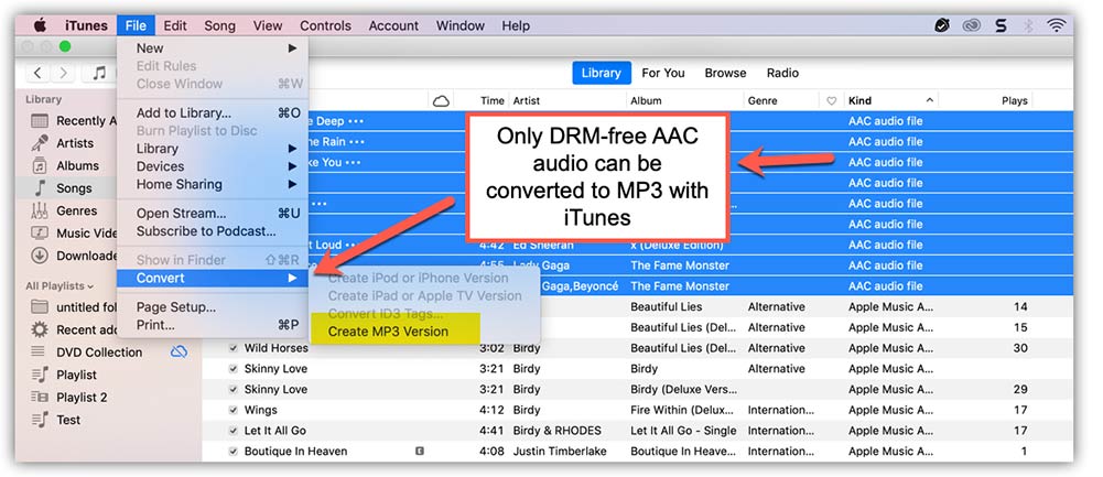 iTunes 재생 목록을 MP3로 변환