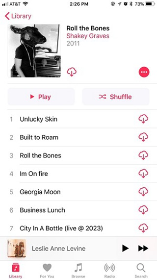 Scarica musica da iCloud Music Library su iPhone