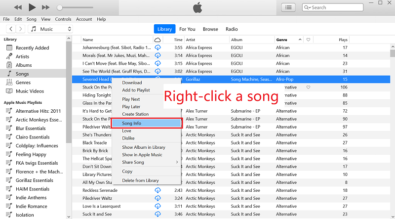 Verifique la información de la canción en iTunes