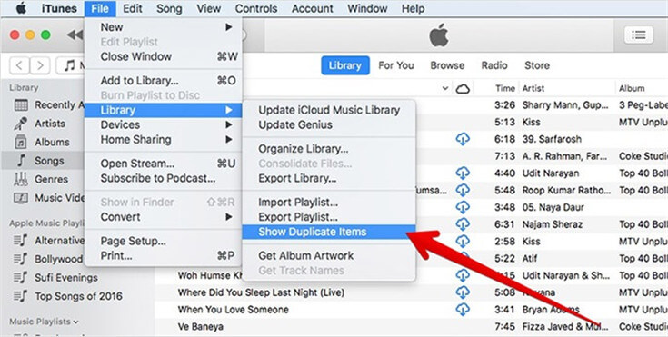 iTunes Duplicaten weergeven