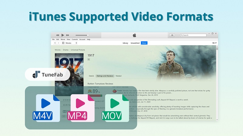 iTunes ondersteunde videoformaten