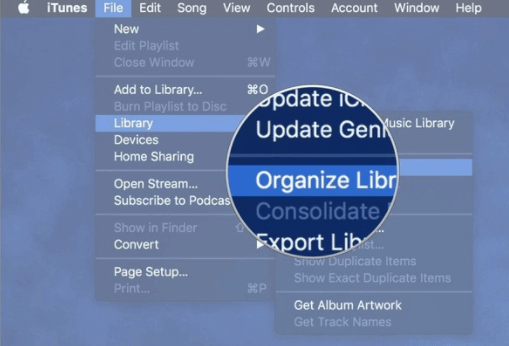 Организовать библиотеку в iTunes