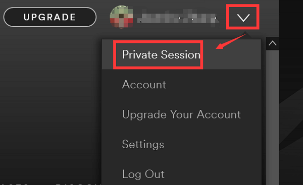 Imposta Spotify Private Session