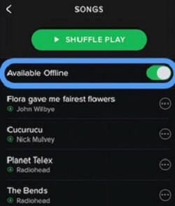 Spotify Playlist offline da iPhone
