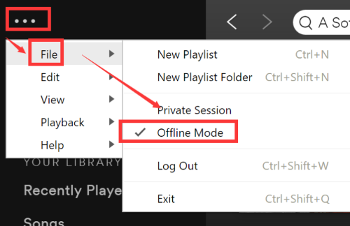 Spotify Playlist Offline