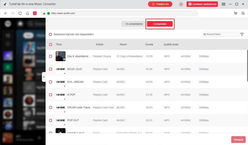 Goditi la musica Spotify offline