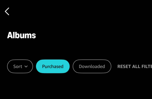 Access Purchased Amazon Music on the Official App