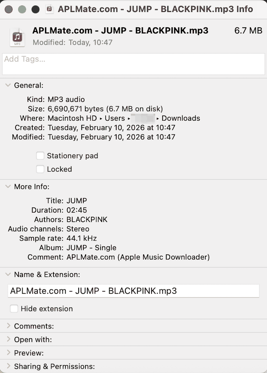 APLMate Apple Music Song Downloader - Downloaded File Information