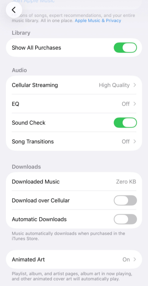 Turn on Automatic Downloads for iOS Apple Music App