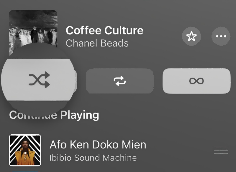 Apple Music Shuffle on iPhone/iPad