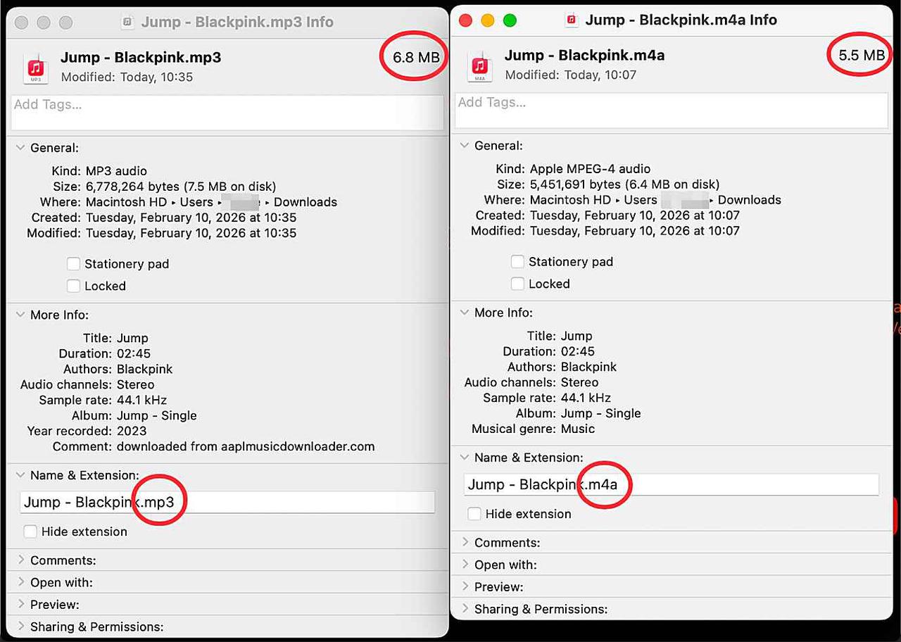 AppleMusicMp3 Downloaded File Information
