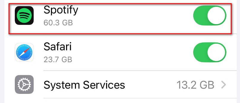Check iPhone Spotify Data Usage