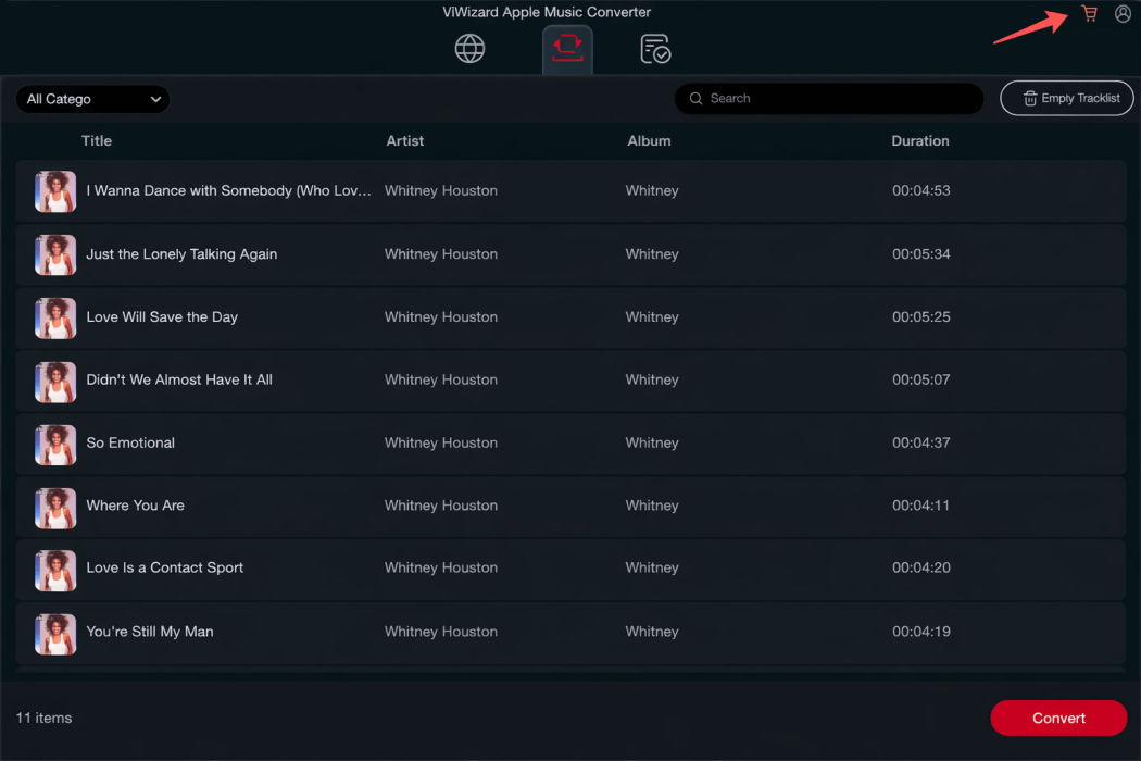 Convert Apple Music via Viwizard Without Customizations