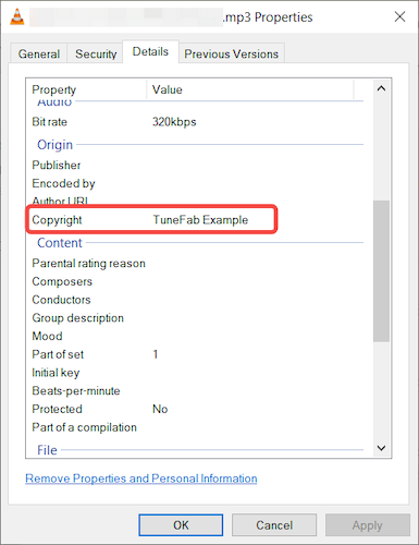 MP3 Copyright Information
