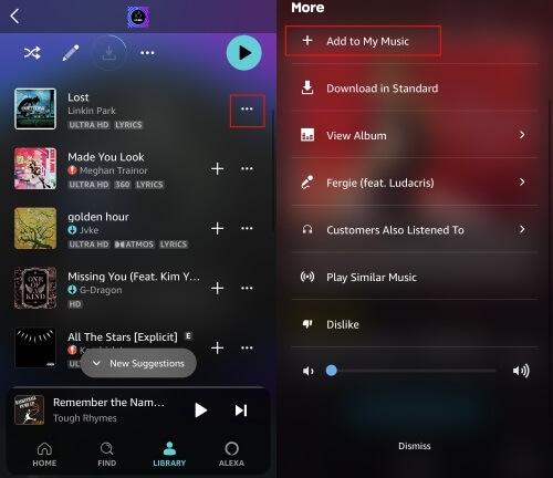 Re-add Amazon Music to Library