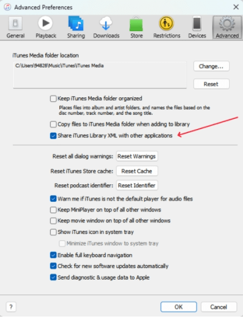 Set Advanced Preferences on iTunes