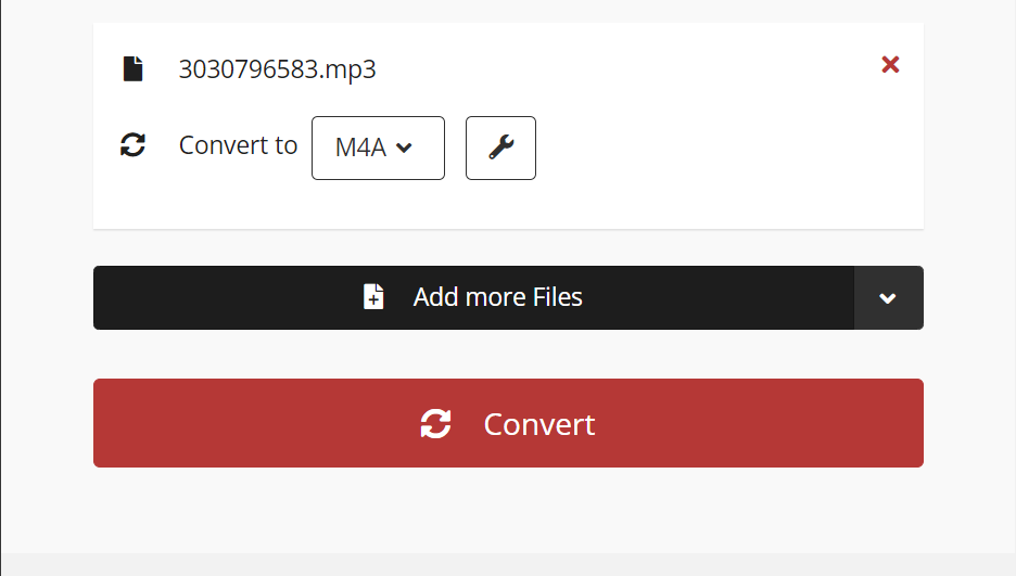Hit the Convert Button to Start Converting