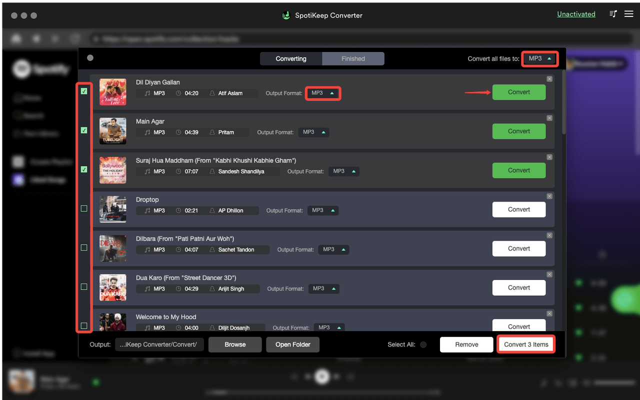 Customize Output Format and Start Conversion