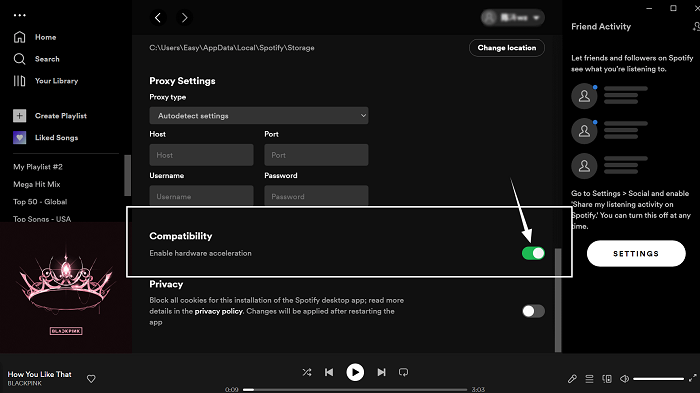 Disable Spotify Hardware Acceleration