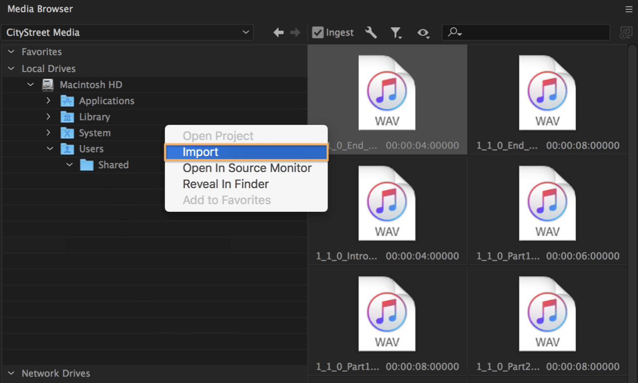 Add Spotify Songs to Premiere Pro