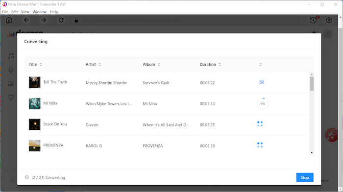 Pazu Deezer Music Converter