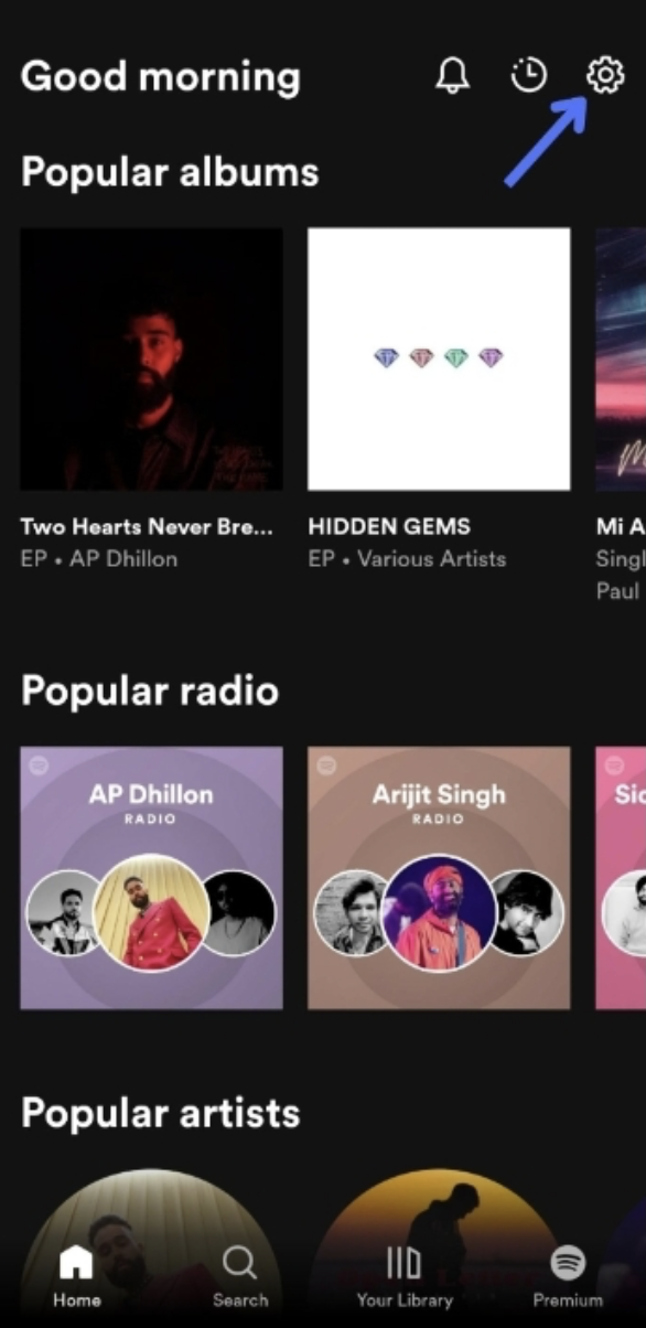 Put Spotify Link to TikTok Bio