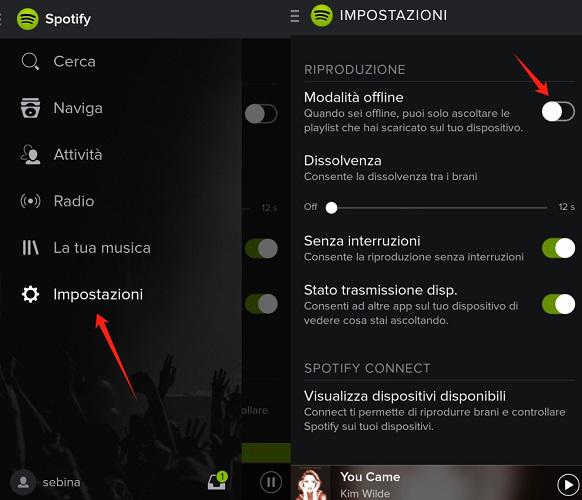 Disattiva la modalità offline di Spotify su Android/iPhone