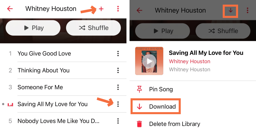 Download Apple Music via Android App