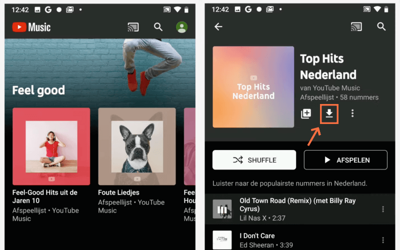 YouTube-muziekafspeellijsten downloaden op de app