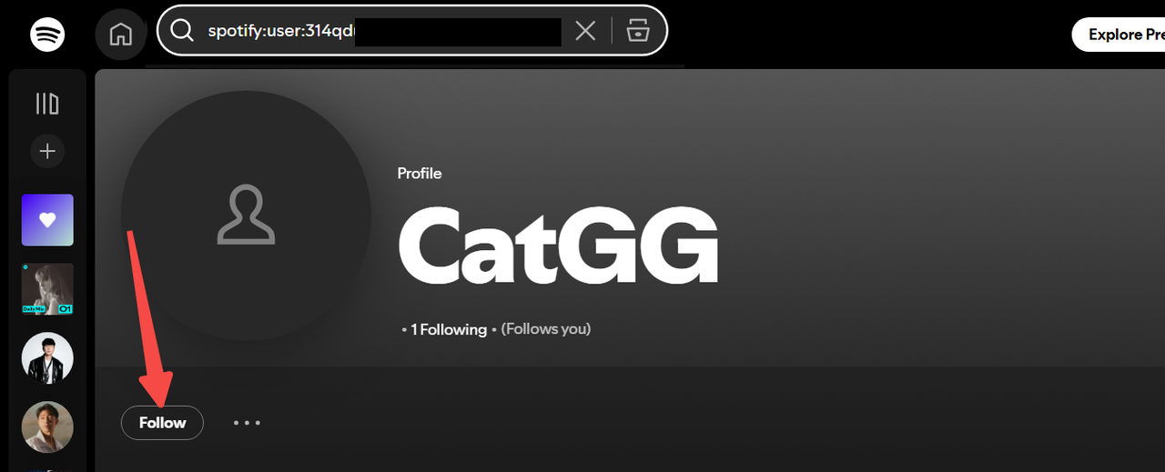 Follow Spotify Friend on Computer