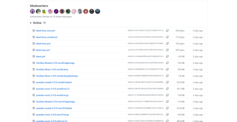 Download YouTube Music Desktop -app van GitHub