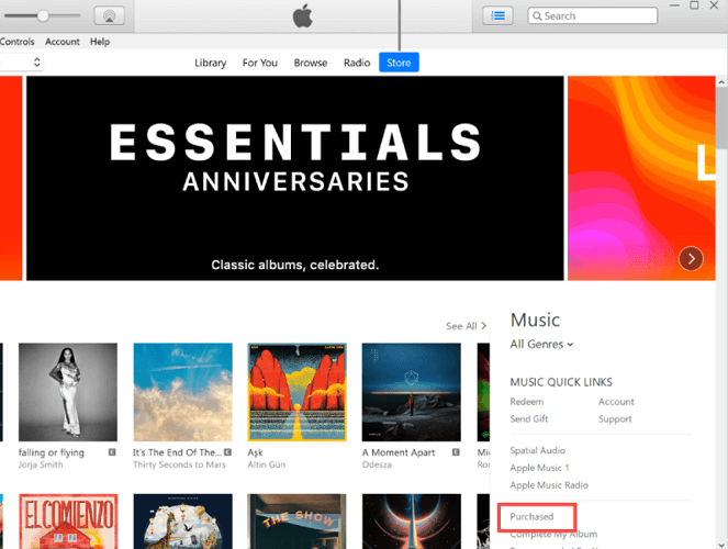 Check Purchased Music from iTunes Store