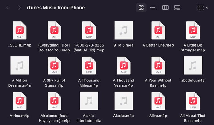 Mac에서 M4P 파일