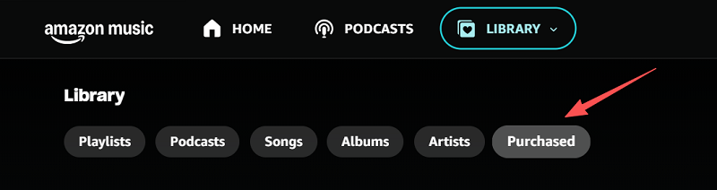 Access Purchased Amazon Music on Web Player