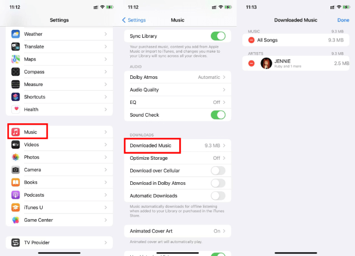 Delete All Downloaded Songs from Apple Music Library