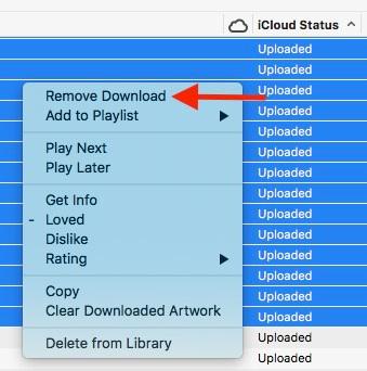 Remove M4P Downloads on iTunes