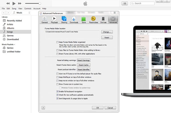 Advanced Preferences Window