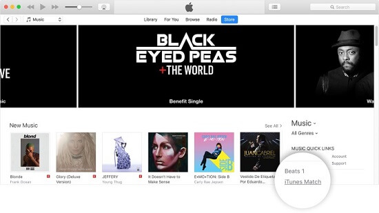 iTunes Match Subscribe