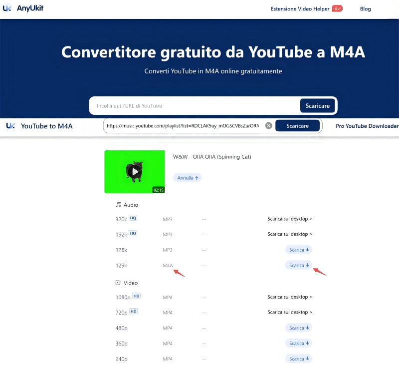 Scarica musica da YouTube con AnyUkit