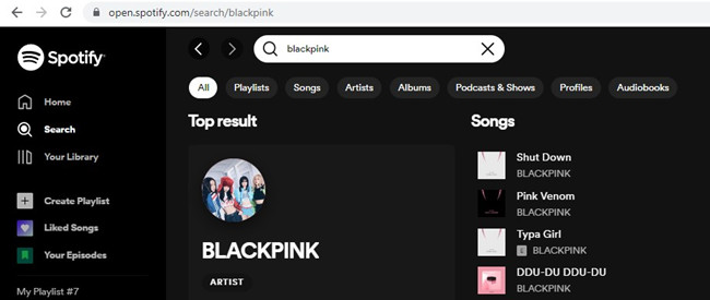Search Spotify Songs on Web Player