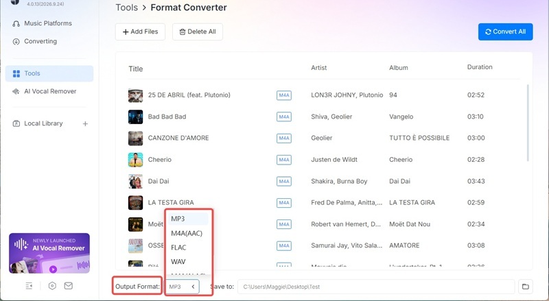 Select Converted Format on TuneFab
