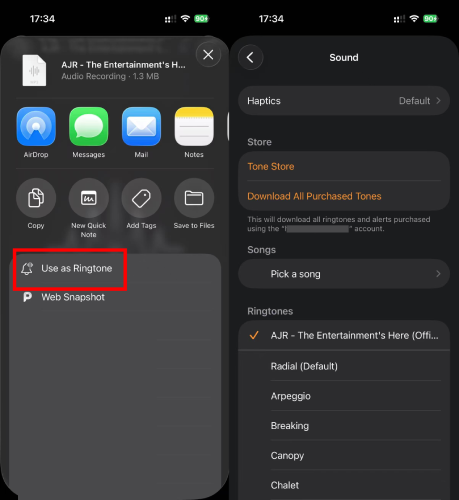 Set MP3 Apple Music Songs as Alarm on iPhone