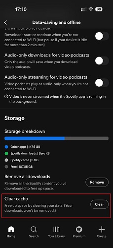 Clear Spotify cache on iPhone