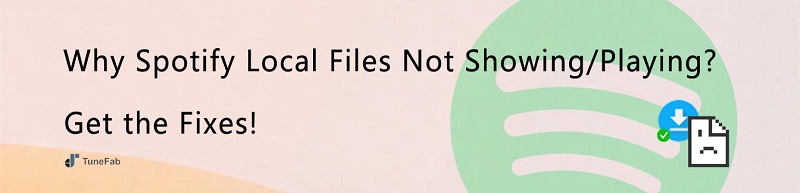 Spotify Local File Not Showing or Playing Post Cover