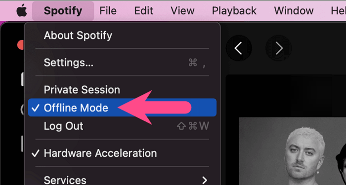 Turn Off Spotify Offline Mode on Mac