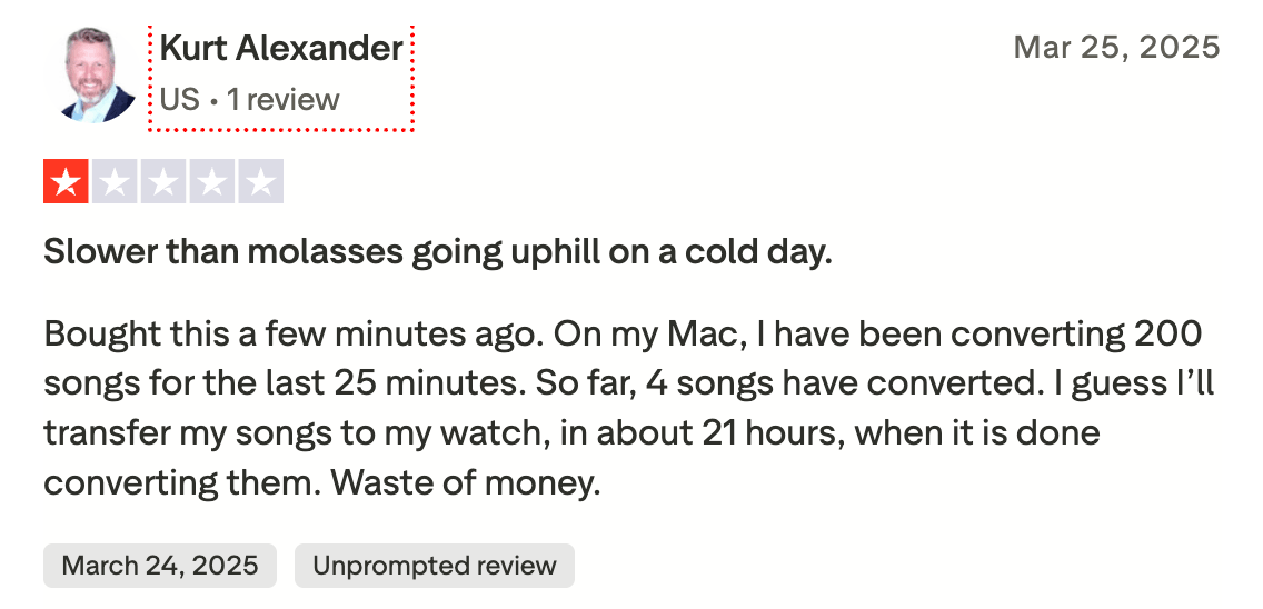 Review from Trustpilot of ViWizard