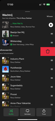 Verwijder een nummer uit de wachtrij 'Volgende van' op Spotify