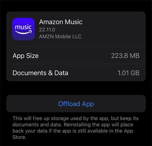 卸载 Amazon Music Cache iPhone